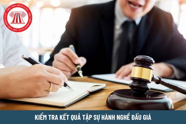 Hồ sơ đăng ký tham dự kiểm tra kết quả tập sự hành nghề đấu giá gồm những gì?