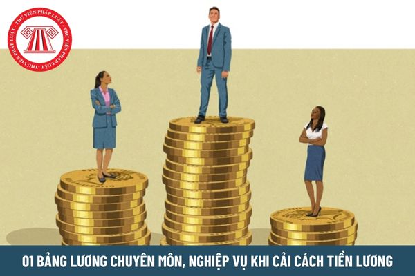 Từ 1/7/2024, 01 bảng lương chuyên môn, nghiệp vụ bỏ lương cơ sở và hệ số lương, cụ thể ra sao?