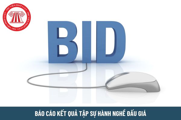 Báo cáo kết quả tập sự hành nghề đấu giá bao gồm những gì?