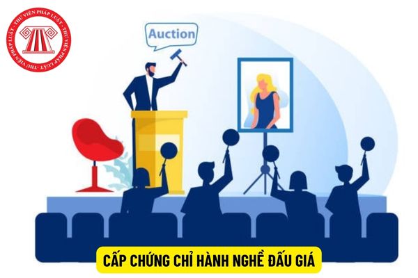 Thời gian cấp Chứng chỉ hành nghề đấu giá là bao lâu?