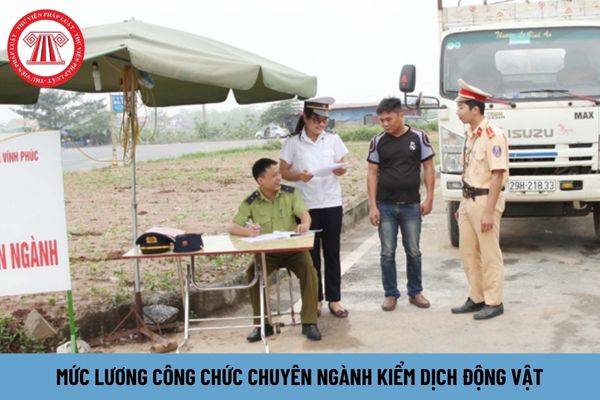 Mức lương công chức chuyên ngành kiểm dịch động vật là bao nhiêu?