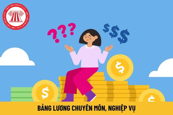 Từ 1/7/2024, xây dựng lương cơ bản trong bảng lương chuyên môn, nghiệp vụ như thế nào?