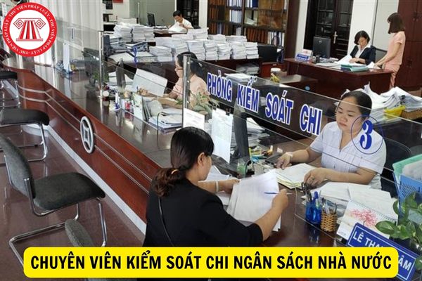 Tiêu chuẩn về trình độ mà chuyên viên kiểm soát chi ngân sách nhà nước phải có là gì?