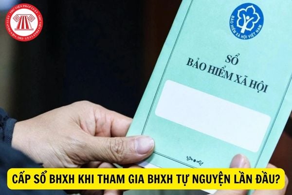 Tham gia bảo hiểm xã hội tự nguyện lần đầu thì được cấp sổ BHXH trong thời gian bao lâu?