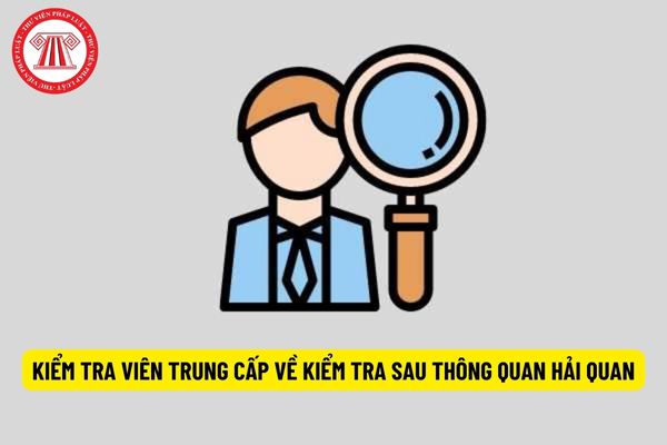 Kiểm tra viên trung cấp về kiểm tra sau thông quan hải quan có quyền hạn gì?