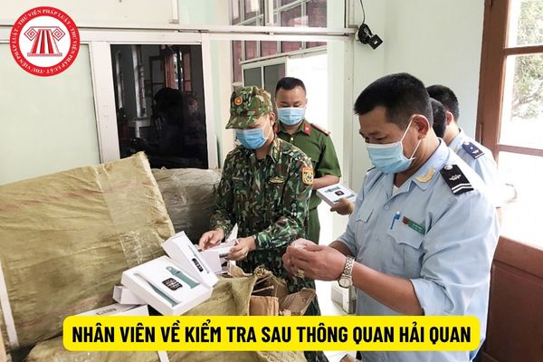 Nhân viên về kiểm tra sau thông quan hải quan có những mối quan hệ nào trong công việc?