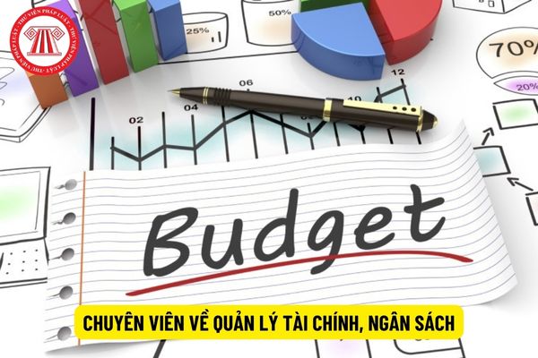 Chuyên viên về quản lý tài chính, ngân sách tốt nghiệp trình độ gì?