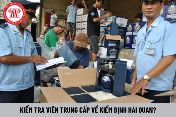 Phải có năng lực như thế nào mới được làm kiểm tra viên trung cấp về kiểm định hải quan?