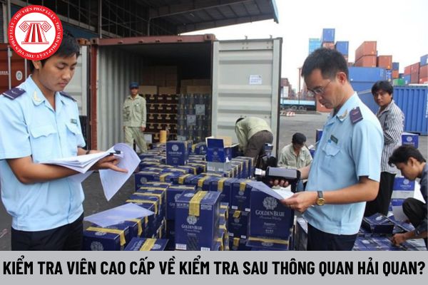 Kiểm tra viên cao cấp về kiểm tra sau thông quan hải quan phải có những phẩm chất cá nhân nào?