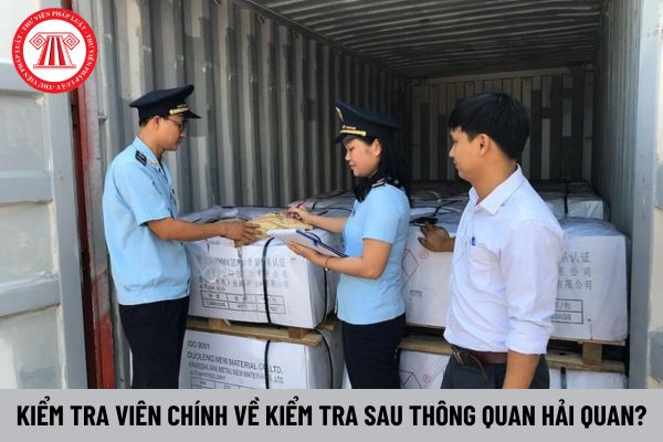 Kiểm tra viên chính về kiểm tra sau thông quan hải quan có những mối quan hệ nào trong công việc?