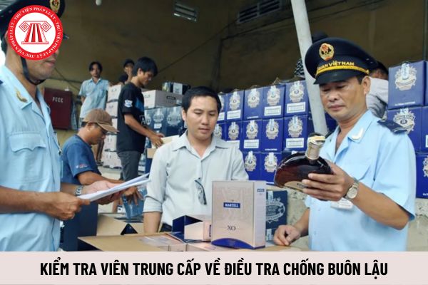 Tiêu chuẩn về trình độ đối với kiểm tra viên trung cấp về điều tra chống buôn lậu là gì?