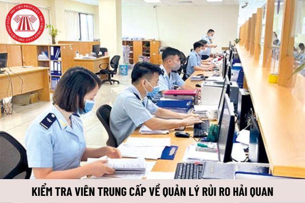 Kiểm tra viên trung cấp về quản lý rủi ro hải quan phải có phẩm chất cá nhân ra sao?