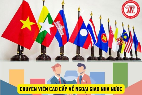 Phải có trình độ gì mới được làm chuyên viên cao cấp về ngoại giao nhà nước?