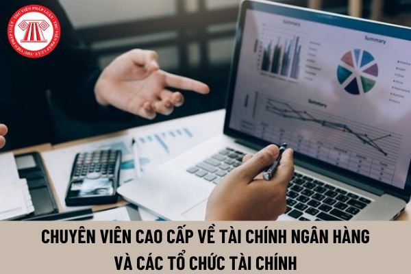 Chuyên viên cao cấp về tài chính ngân hàng và các tổ chức tài chính có quyền hạn gì?