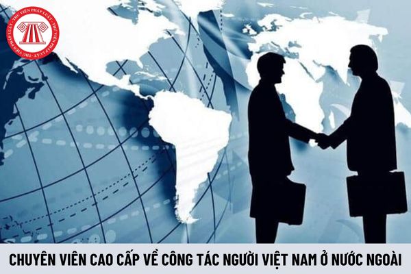 Chuyên viên cao cấp về công tác người Việt Nam ở nước ngoài phải có kinh nghiệm như thế nào?