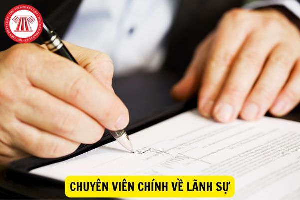 Chuyên viên chính về lãnh sự phải thực hiện những công việc gì?