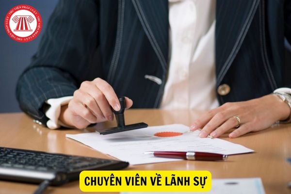 Chuyên viên về lãnh sự phải có thành tích công tác ra sao?