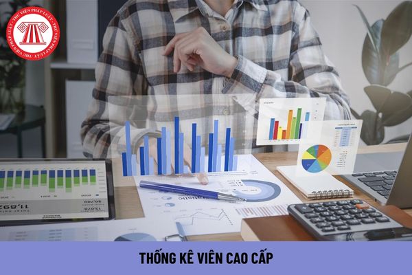 Thống kê viên cao cấp phải có trình độ đào tạo ra sao?