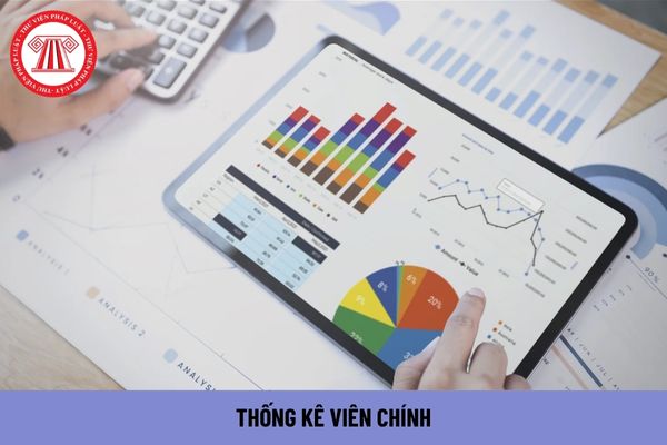 Tiêu chuẩn về năng lực đối với Thống kê viên chính là gì?