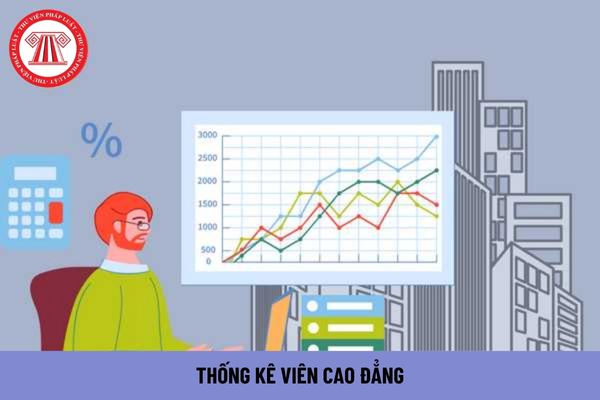 Thống kê viên cao đẳng phải thực hiện những nhiệm vụ gì?