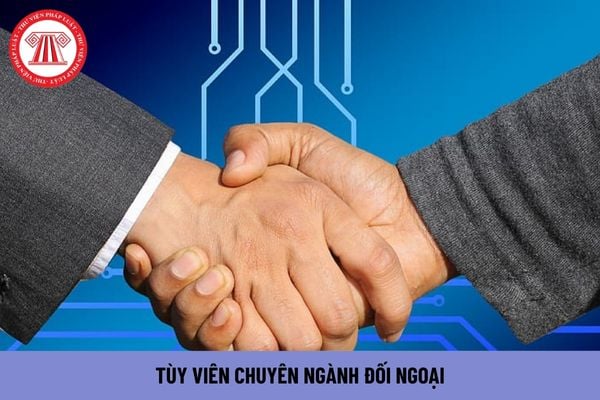 Vị trí việc làm Tùy viên chuyên ngành đối ngoại phải có trình độ đào tạo như thế nào?