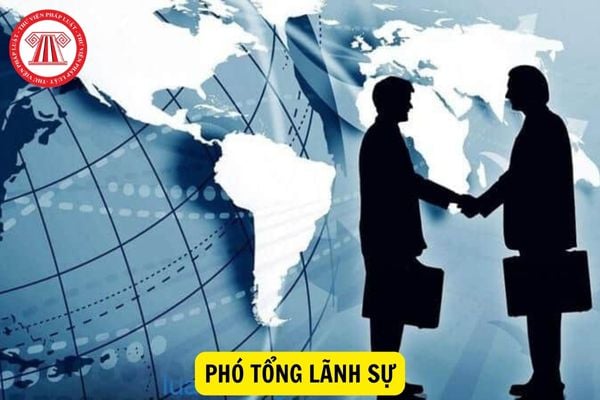 Yêu cầu trình độ đào tạo ra sao mới được làm Phó Tổng lãnh sự?