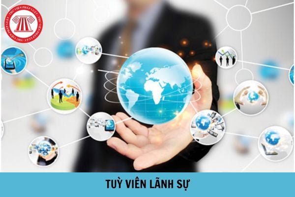 Yêu cầu trình độ đào tạo ra sao mới được làm Tuỳ viên lãnh sự?