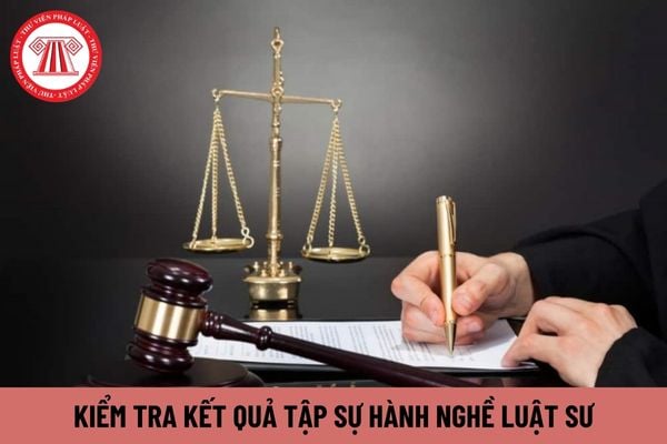 Kiểm tra kết quả tập sự hành nghề luật sư bằng hình thức gì?