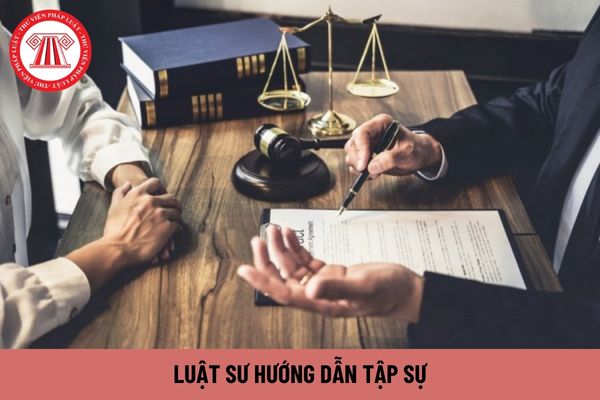 Luật sư hướng dẫn bị xử phạt hành chính trong lúc hành nghề có được hướng dẫn tập sự không?