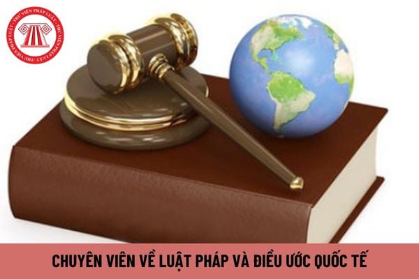 Chuyên viên về luật pháp và điều ước quốc tế phải có trình độ đào tạo ra sao?