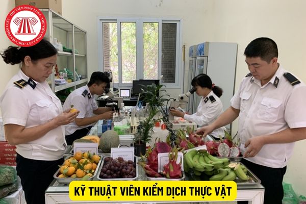 Kỹ thuật viên kiểm dịch thực vật phải tốt nghiệp trình độ đào tạo gì?