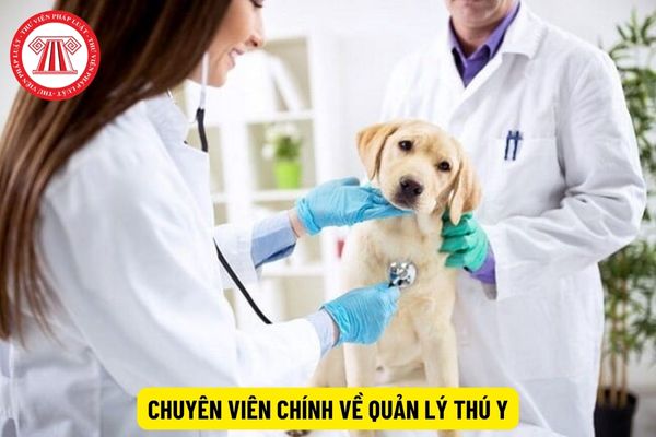 Chuyên viên chính về quản lý thú y cần bao nhiêu năm kinh nghiệm?