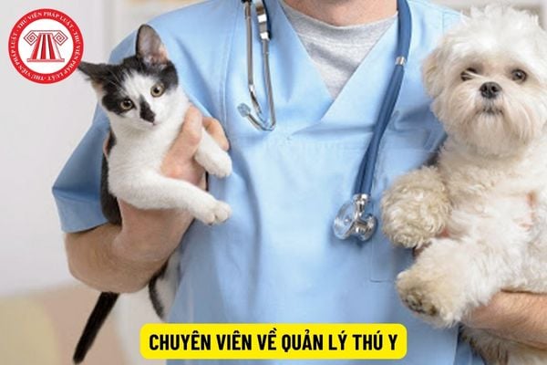 Tiêu chuẩn về trình độ đào tạo đối với chuyên viên về quản lý thú y là gì?