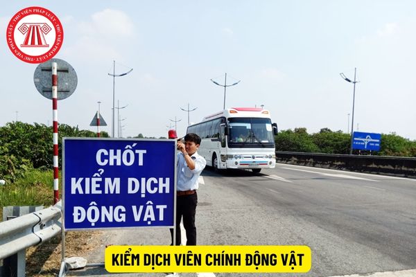 Kiểm dịch viên chính động vật phải có năng lực như thế nào?