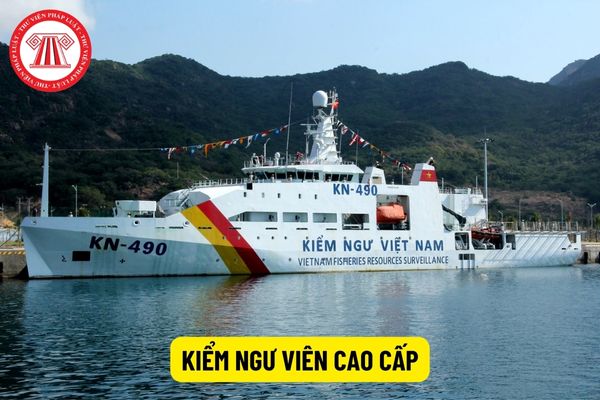 Kiểm ngư viên cao cấp yêu cầu có thành tích công tác ra sao?