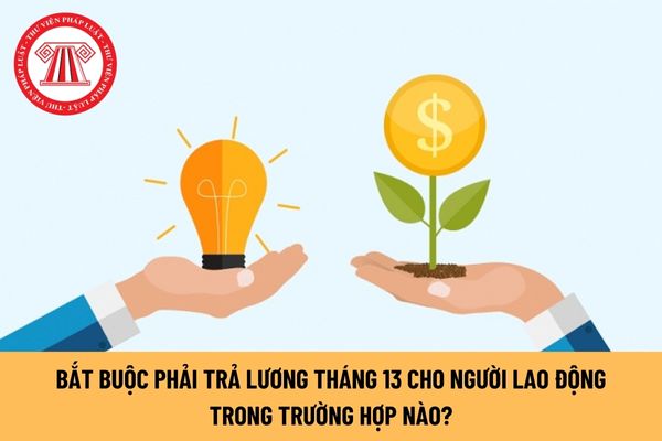 Bắt buộc phải trả lương tháng 13 cho người lao động trong trường hợp nào?