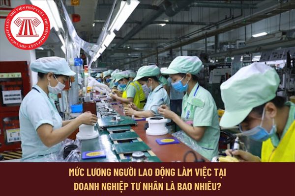 Mức lương người lao động làm việc tại doanh nghiệp tư nhân được nhận là bao nhiêu?