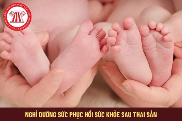 Lao động nữ sinh đôi thì được nghỉ dưỡng sức phục hồi sức khỏe sau thai sản mấy ngày?