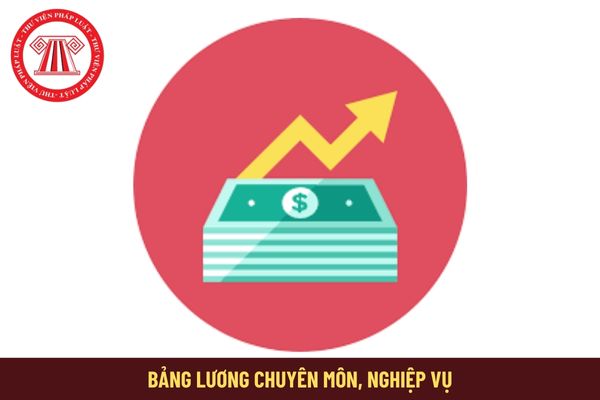 01 bảng lương chuyên môn, nghiệp vụ từ 1/7/2024 với mức lương không thấp hơn lương hiện hưởng có đúng không?