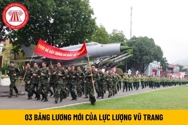 03 bảng lương mới từ 1/7/2024 của lực lượng vũ trang có cơ cấu tiền lương mới gồm các khoản tiền nào?