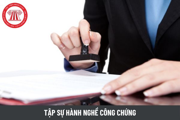 Người tập sự hành nghề công chứng bị xử lý hành chính thì có bị chấm dứt tập sự không?