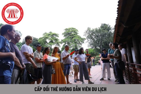 Hướng dẫn viên du lịch quốc tế được đề nghị cấp đổi thẻ hướng dẫn viên du lịch trong trường hợp nào?