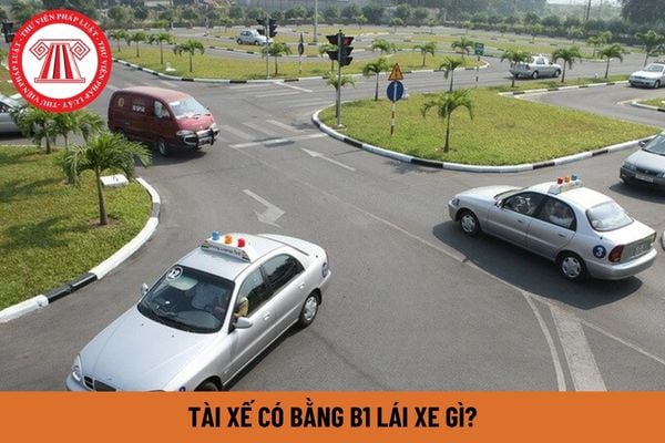 Tài xế có bằng B1 lái xe gì? Bằng lái xe B1 có thời hạn bao lâu?