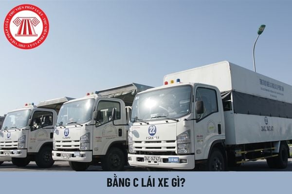 Tài xế có bằng C lái xe gì? Lương tài xế hiện nay là bao nhiêu?