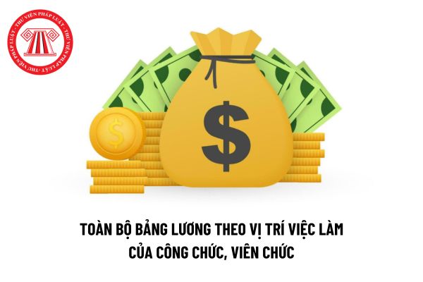 Toàn bộ bảng lương theo vị trí việc làm từ 1/7/2024 của công chức, viên chức được nâng bậc lương ra sao?