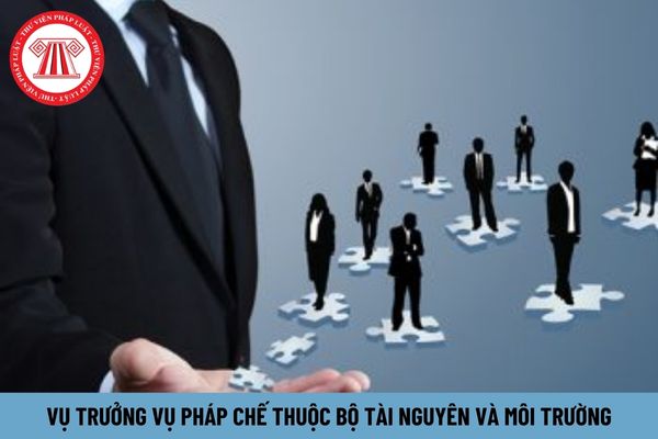 Vụ trưởng Vụ Pháp chế thuộc Bộ Tài nguyên và Môi trường phải có kinh nghiệm ra sao?