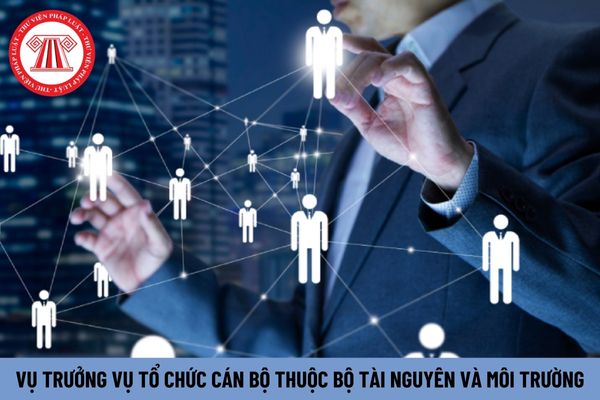 Hệ số phụ cấp chức vụ lãnh đạo của Vụ trưởng Vụ Tổ chức cán bộ thuộc Bộ Tài nguyên và Môi trường là bao nhiêu?