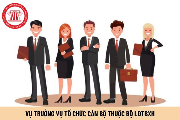 Vụ trưởng Vụ Tổ chức cán bộ thuộc Bộ LĐTBXH phải có trình độ đào tạo ra sao?