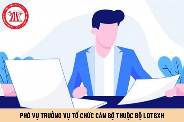 Phó Vụ trưởng Vụ Tổ chức cán bộ thuộc Bộ LĐTBXH có hệ số phụ cấp chức vụ lãnh đạo là bao nhiêu?