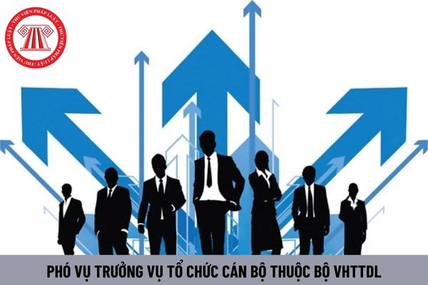 Hệ số phụ cấp chức vụ lãnh đạo của Phó Vụ trưởng Vụ Tổ chức cán bộ thuộc Bộ VHTTDL là bao nhiêu?